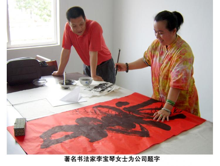 著名書法家李寶琴為公司題詞