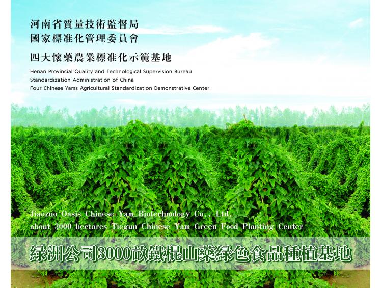 鐵棍山藥種植基地