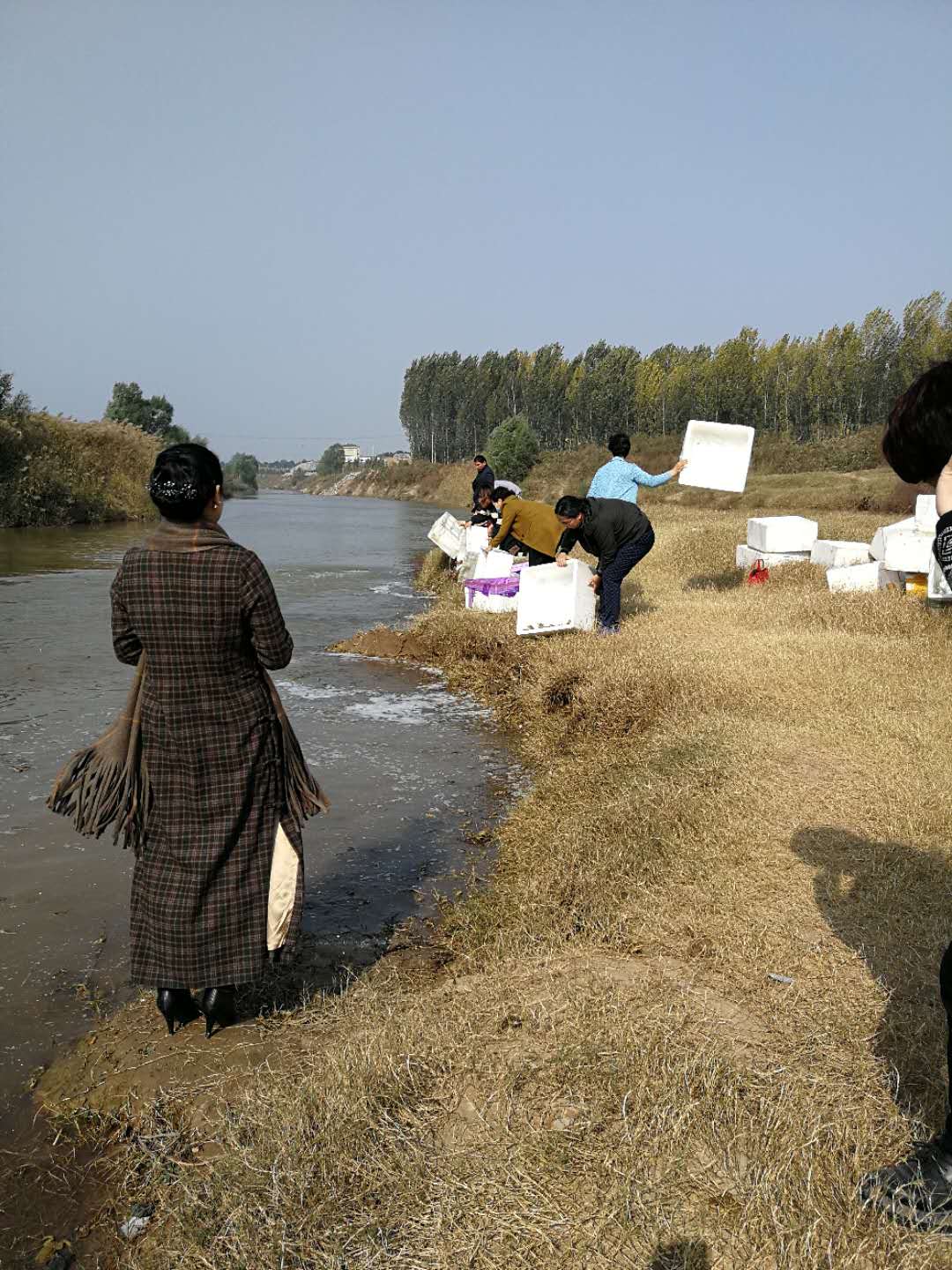 1533626386203389.jpg 162U4LD-1.jpg