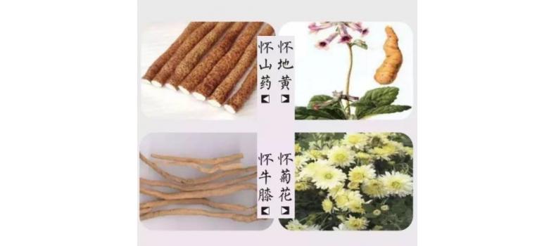 懷川名片-四大懷藥