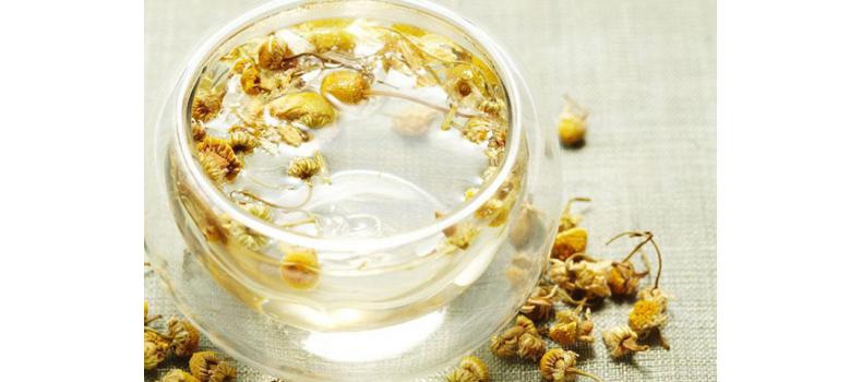 平肝明目——菊花養(yǎng)生